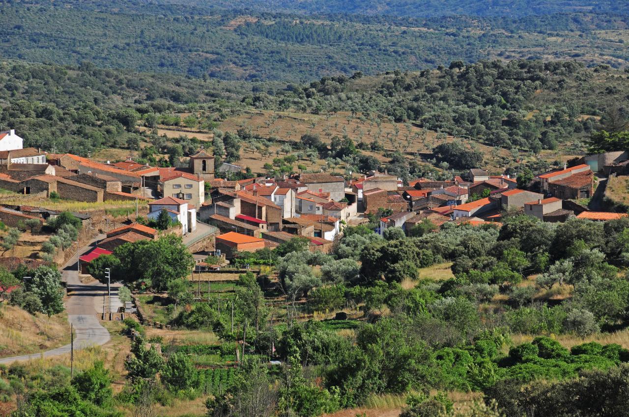 De Aceiteros 2*
